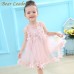 Girls Dress Mesh Pink Applique Princess Dress Children Baby Girls Dress freeship 14 days